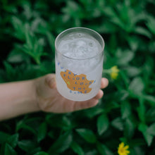 Load image into Gallery viewer, Every Floor Looks The Same - Orange Glass Cup